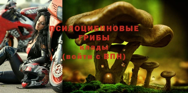 прущая мука Ладушкин