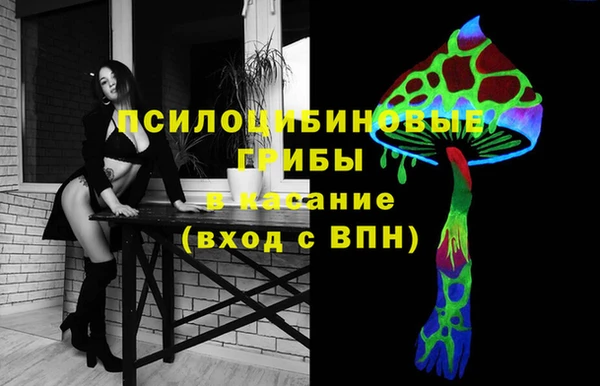 spice Лагань
