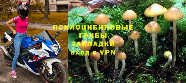 марки lsd Лабытнанги