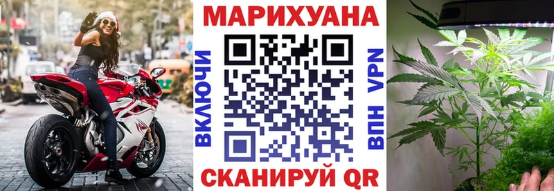 Конопля MAZAR  где продают наркотики  Ядрин 